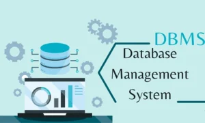 Database Management System