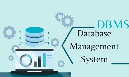 Database Management System