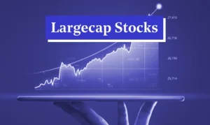 Large-Cap Stocks