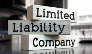 Limited Liability Company