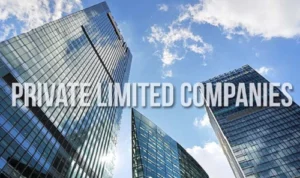 Private Limited Company