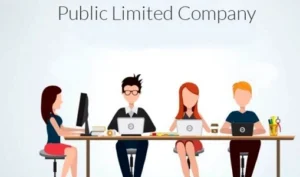 Public Limited Company