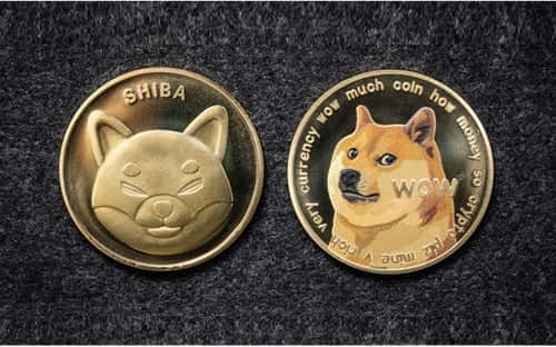 Shiba Inu Coin