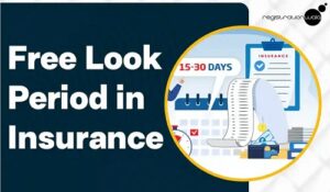 Free-Look Period