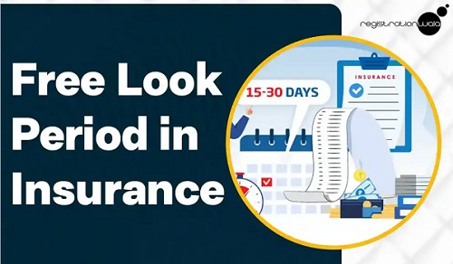  Free-Look Period